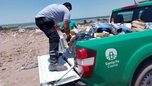 Clausuran un depósito de alimentos y decomisan 1.600 kilos de mercadería