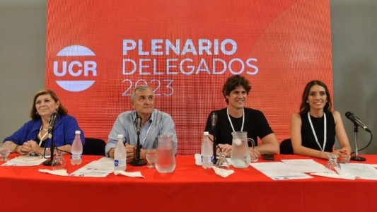 Martín Lousteau fue elegido como presidente del Comité Nacional de la UCR