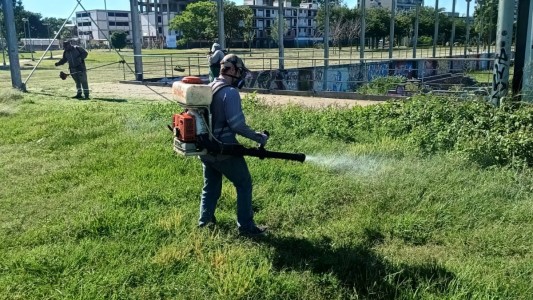 Servicios municipales previstos para este martes 19 de diciembre