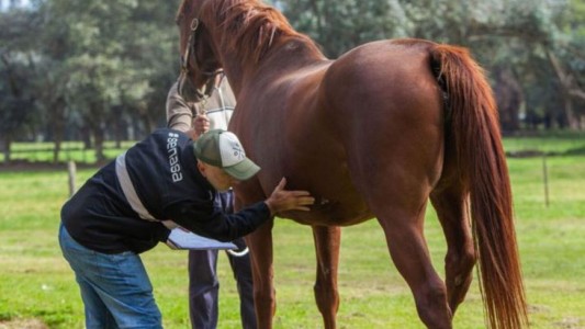 Se detectó un caso humano de Encefalitis Equina del Oeste en el departamento General Obligado