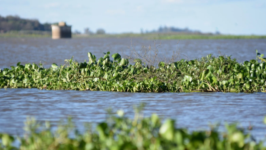 Bajó el nivel del río Paraná y vecinos de Arroyo Leyes vuelven a sus casas
