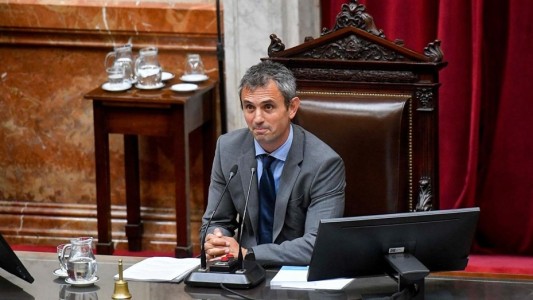 Martín Menem cree que antes del 31 de enero habrá "una primera parte" de leyes aprobadas