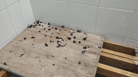 Estado de emergencia en Centro de Salud de Las Delicias