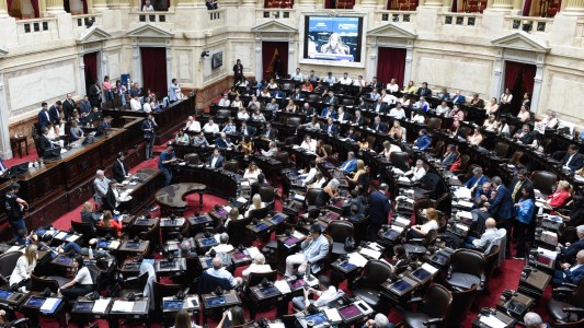 Ley ómnibus: así votaron los diputados santafesinos el proyecto