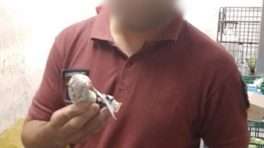 Buenos Aires: echaron a un policía de la Ciudad por robarse un salame