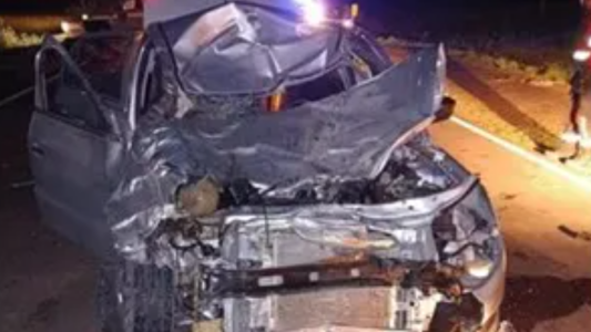 Chocaron contra un búfalo en la ruta en Entre Ríos