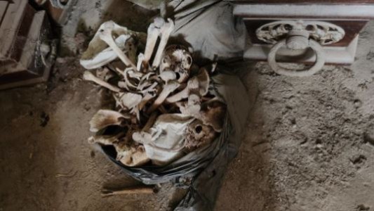 Denuncian el hallazgo de 2.000 bolsas con restos humanos en el cementerio de La Plata