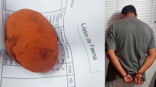 Detuvieron a un hombre por robar cálculos biliares de vacas