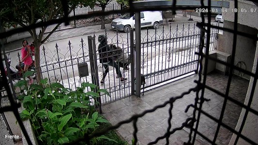 De no creer: en Córdoba, un delivery sale a robar con su pareja embarazada