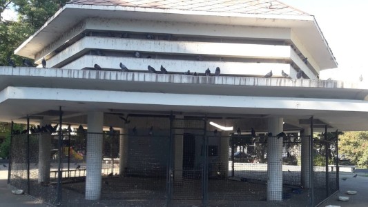 Vallaron El Palomar por posible presencia de psitacosis