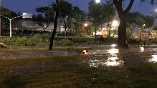 La tormenta se hizo sentir en Santa Fe y dejó árboles caídos