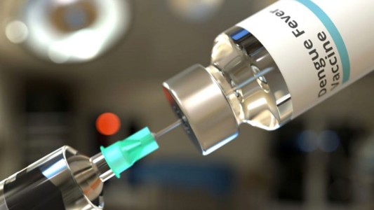 Dengue: el Concejo de Santa Fe se suma al pedido de la vacuna