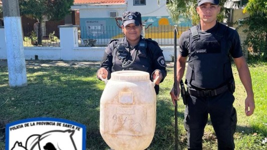 Monte Vera: hallaron tres víboras yarará en el patio de una escuela