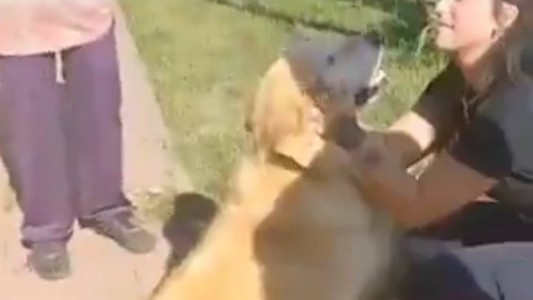 Video: una mujer llevó a faenar a su perro a una carnicería y terminó detenida