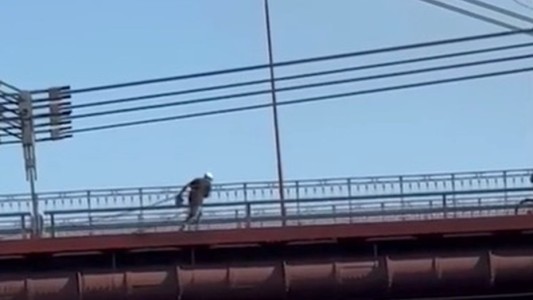 Pedirán prisión preventiva para el roba cables del Puente Colgante