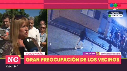 Robos “piraña”, un mal que tiene en jaque a vecinos del norte