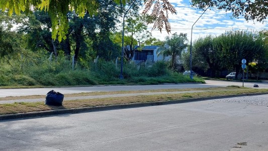 Preocupación de vecinos de Guadalupe por falta de desmalezamiento