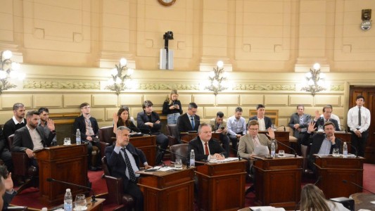 El Senado aprobó la creación de una Comisión Bicameral