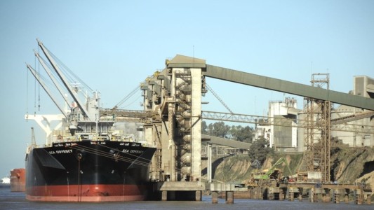 Paro de aceiteros y Senasa contra proyecto de Ley de Bases