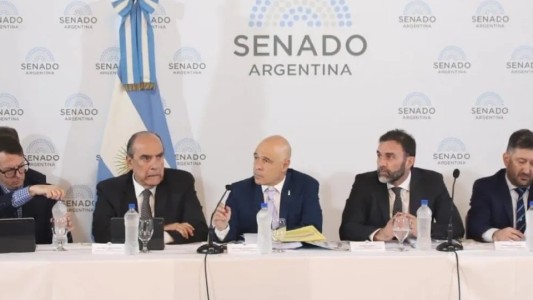 Comenzó el tratamiento de la Ley Bases en el Senado de la nación