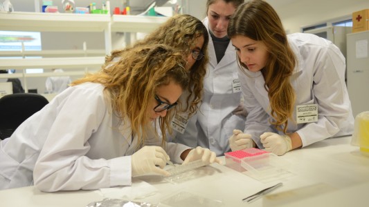 Ley Bases en Santa Fe: comunidad científica reclama a senadores que la rechacen