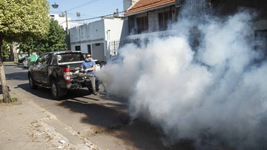 Dengue: continúa el descenso de casos en la provincia de Santa Fe