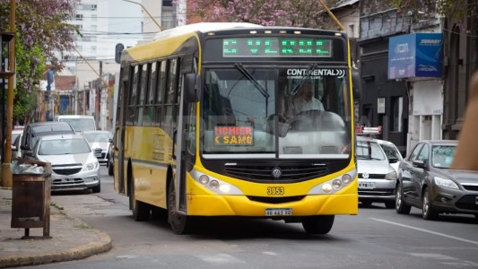 Transporte: la línea C ingresará a Ciudad Universitaria en horario nocturno