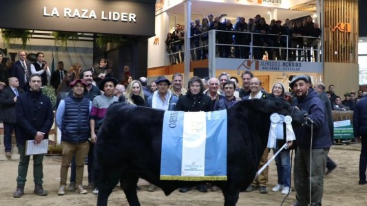 En La Rural, Milei prometió: “vamos a eliminar el impuesto país”