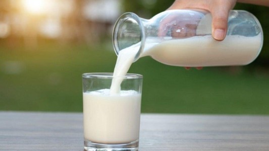 Día mundial de la leche: conocé sus beneficios