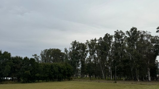 Calor, frío, calor: Mirá lo que pasará con el tiempo en Santa Fe