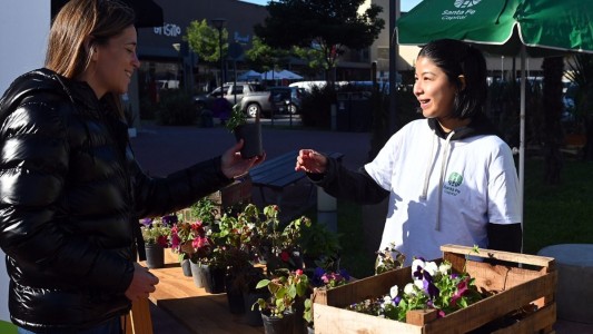 Semana del Ambiente: la municipalidad de Santa Fe presenta agenda de actividades