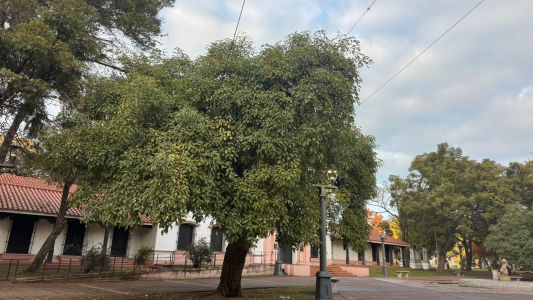 Verano en pleno junio: Mirá hasta cuándo tendremos altas temperaturas