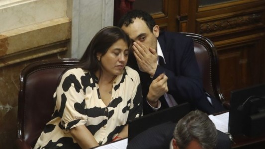 Ley Bases: senadores santacruceños llaman a no dar quórum y corre riesgo el tratamiento