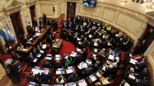 El Senado inició el debate de la ley de Bases y el paquete fiscal
