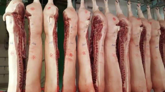 Brote de triquinosis: 39 casos en Santa Fe