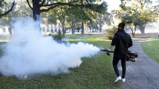 Dengue en Santa Fe: intensifican las acciones de bloqueo y prevención