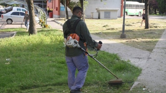 Cronograma de desmalezamiento, poda y mantenimiento de espacios públicos
