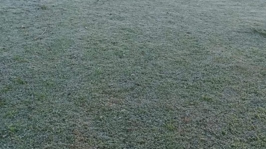 Domingo frío y soleado en la ciudad (1)