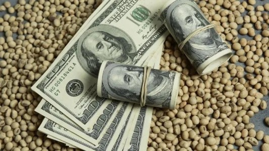 Agrodólares: la liquidación de junio fue la segunda más baja en cinco años