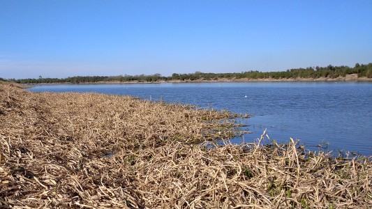 Sauce Viejo: un hombre murió ahogado tras intentar recuperar una piragua