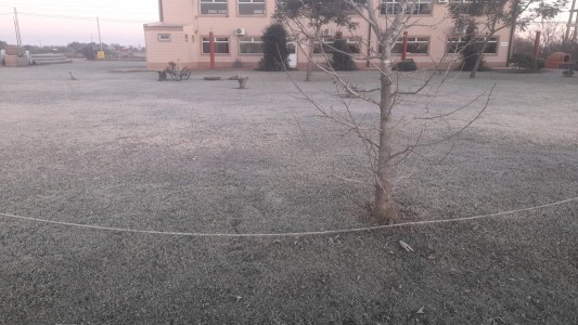 Imágenes: Otra noche con "paisaje blanco" producto de la helada