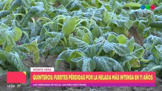 Otra arista del frío: productores frutihortícolas sufren pérdidas