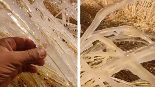 Advierten que el invierno 2024 podría ser el segundo más frío de los últimos 60 años