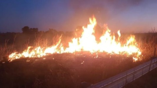 Imágenes: se incendiaron pastizales en la Circunvalación Oeste y autopista Santa Fe – Rosario