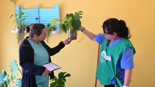 Santa Fe: promotores de la salud continúan trabajando en los barrios para prevenir el dengue