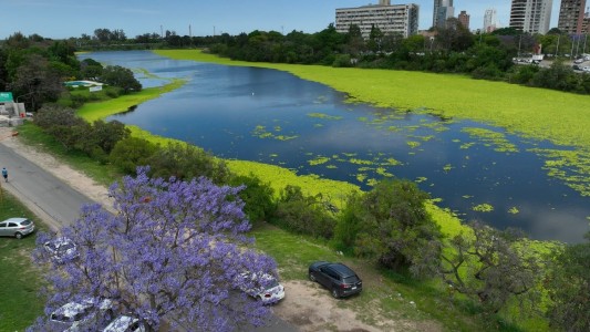 Presentaron un proyecto para salvaguardar el lago del Parque del Sur