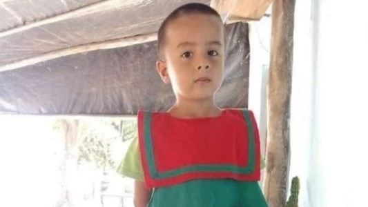 Reconstruyeron el perfil de ADN de Loan: por qué se trata de un avance clave para la investigación