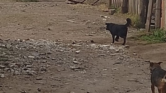 Homicidio en Santa Fe: una persona fue encontrada muerta en barrio San Agustín