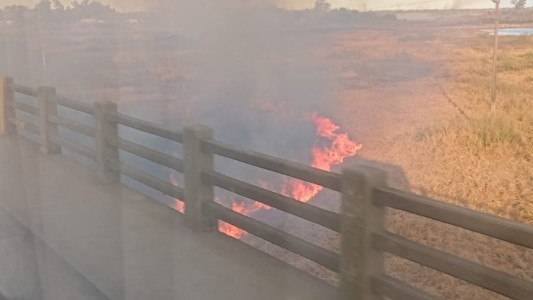 Incendios forestales: preocupación de provincia ante las reiteradas quemas