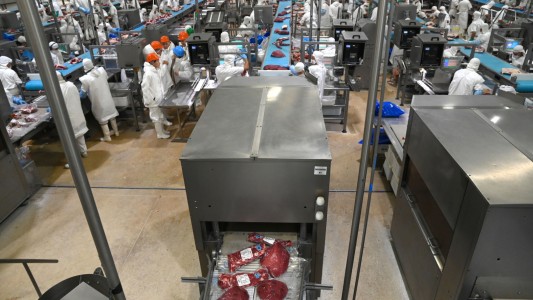 El Gobierno eliminó los derechos de exportación en productos agroindustriales